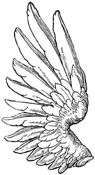 tribal wings tattoo designs